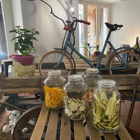 Aracoeli Hotel Orta San Giulio